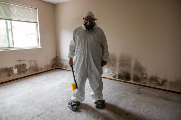 Best Post-Flood Mold Remediation in Boulder, MT